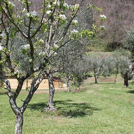 Shaleo Holiday Home Marliana Exterior foto
